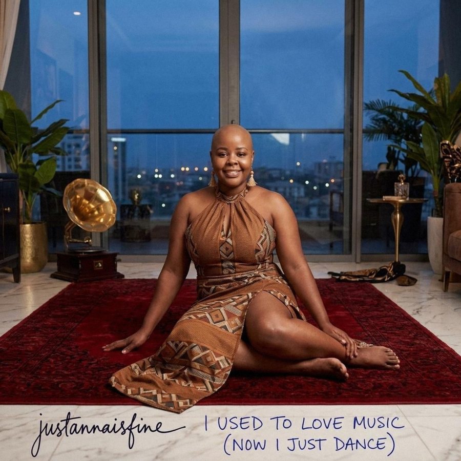 I Used to Love Music cover